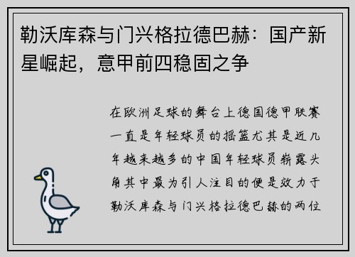 勒沃库森与门兴格拉德巴赫：国产新星崛起，意甲前四稳固之争